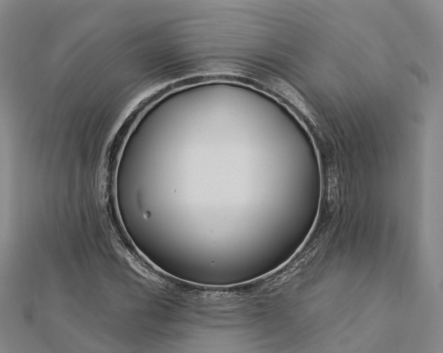 X0000113011116200909031308