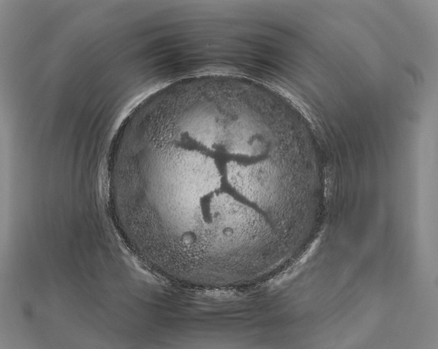 X0000113011117200909031308