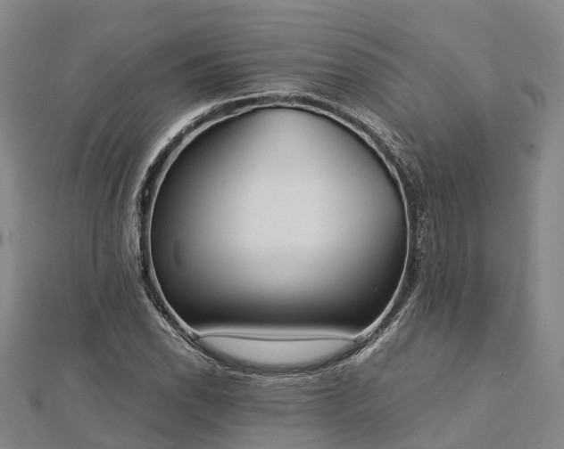 X0000113011118200909031308