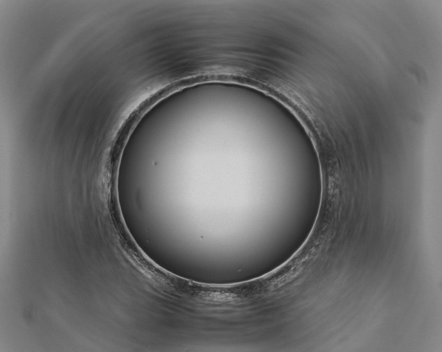 X0000113011119200909031308