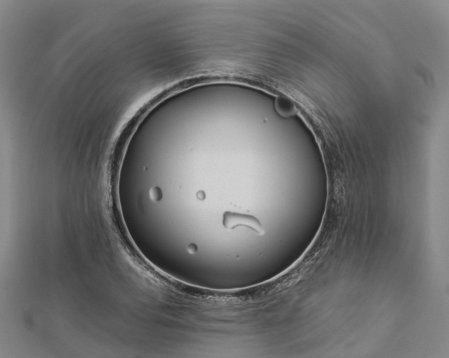 X0000113011120200909031308