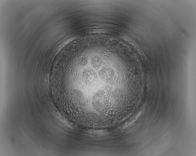 X0000113011121200909031308