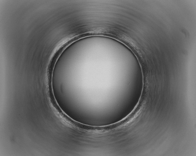 X0000113011122200909031308