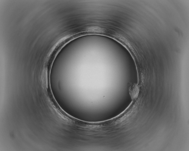 X0000113011123200909031308