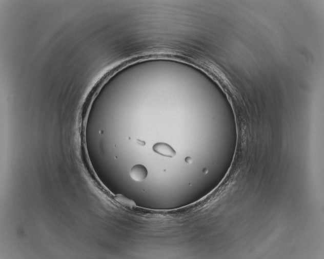 X0000113011124200909031308