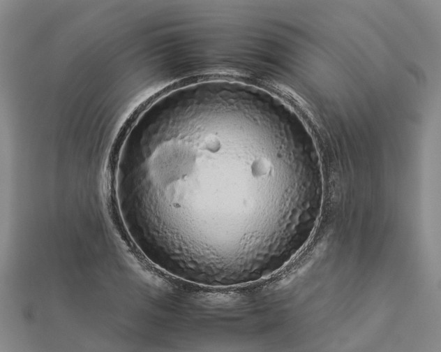 X0000113011125200909031308