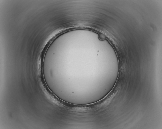 X0000113011126200909031308