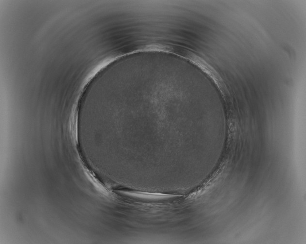 X0000113011127200909031308