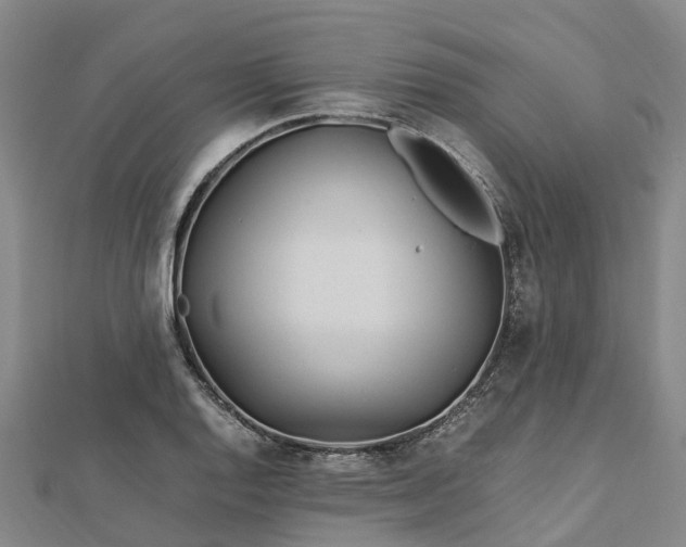 X0000113011128200909031308