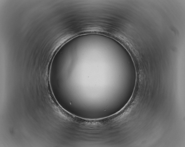 X0000113011129200909031308