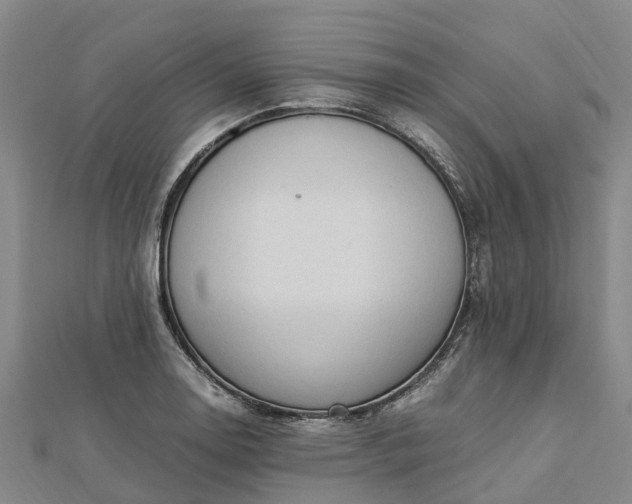 X0000113011130200909031308