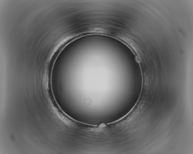 X0000113011131200909031308