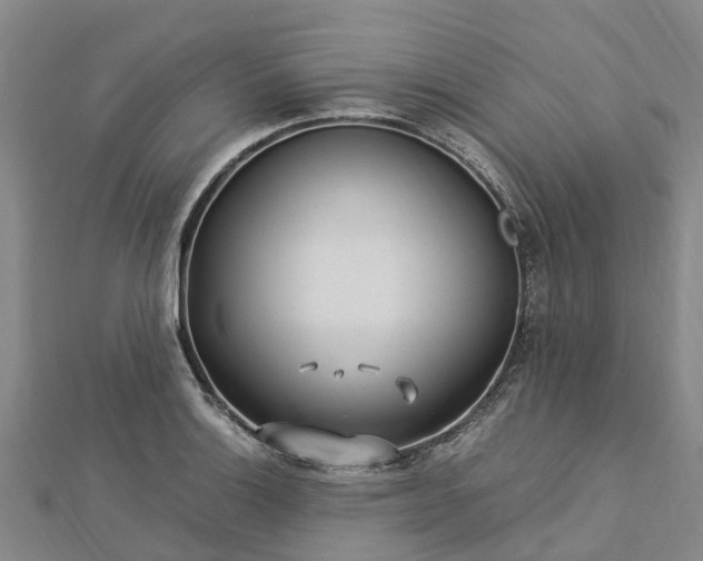 X0000113011132200909031308