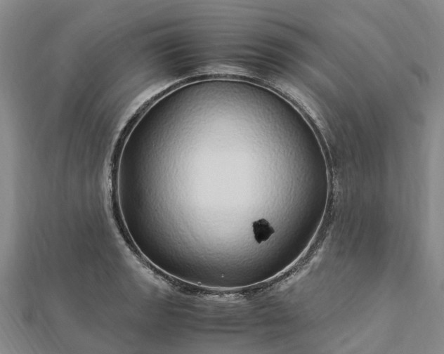 X0000113011133200909031308