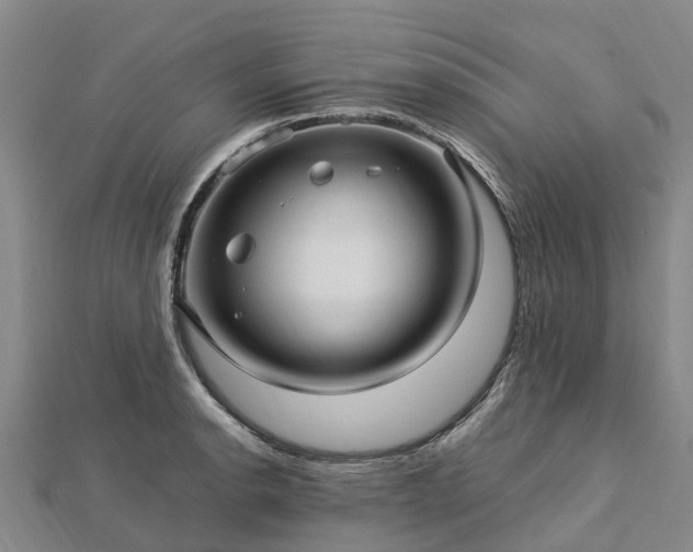 X0000113011134200909031308