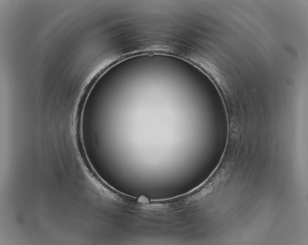 X0000113011135200909031308