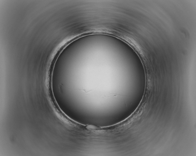 X0000113011136200909031308