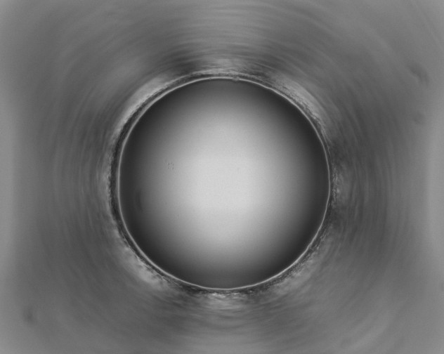 X0000113011138200909031308