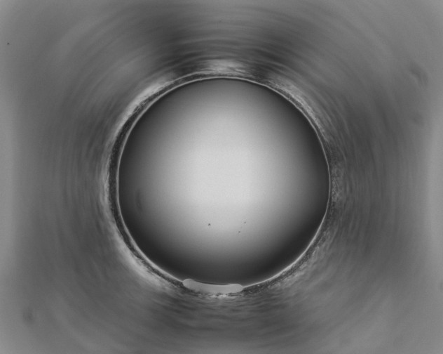 X0000113011139200909031308