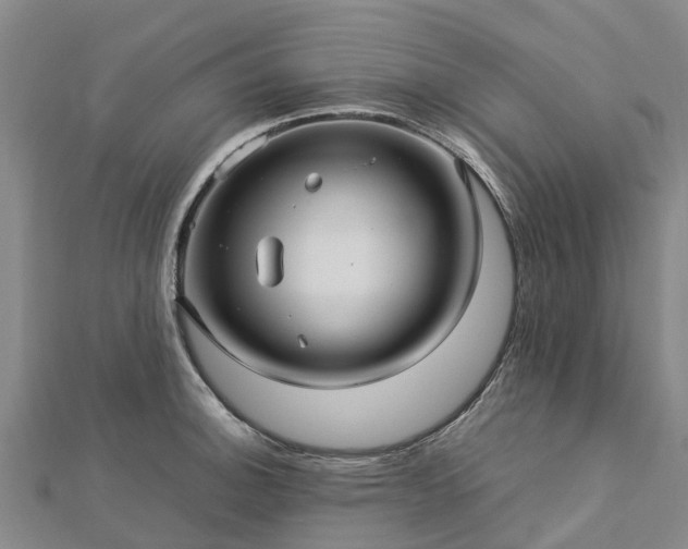 X0000113011140200909031308