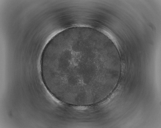 X0000113011141200909031308