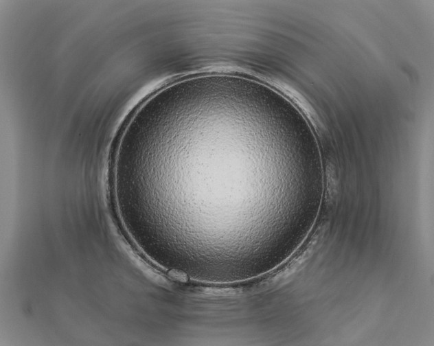 X0000113011142200909031308