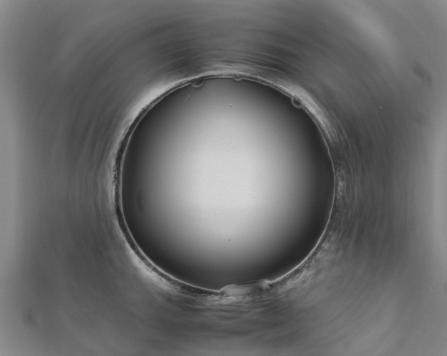 X0000113011143200909031308