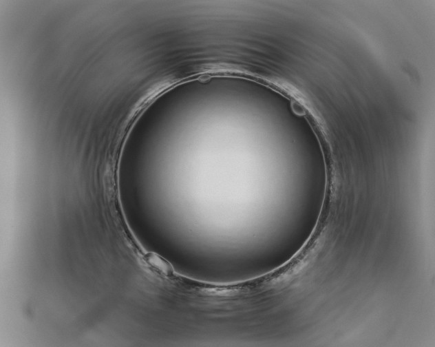 X0000113011145200909031308