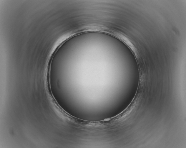 X0000113011146200909031308