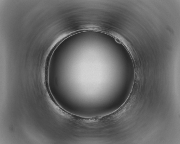 X0000113011147200909031308