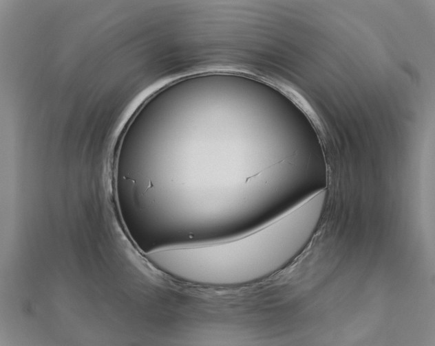 X0000113011148200909031308