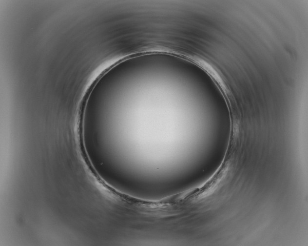 X0000113011149200909031308