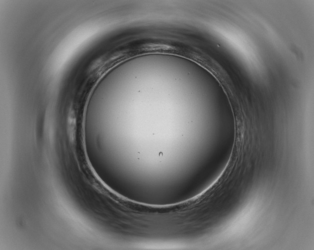 X0000113011151200909031308