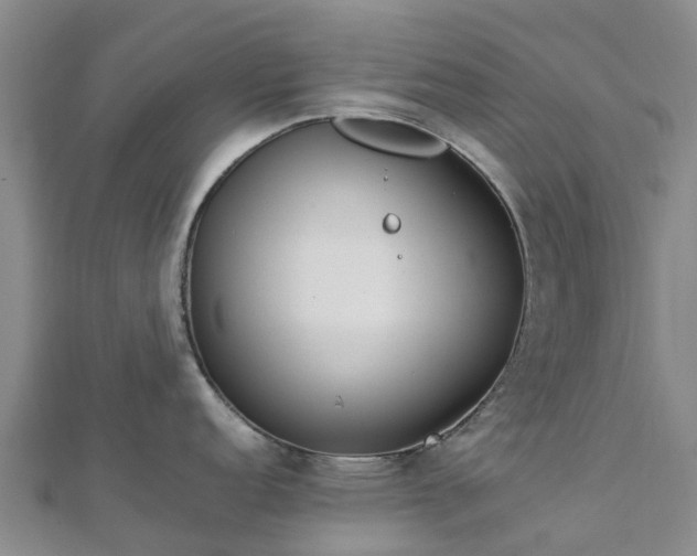 X0000113011152200909031308