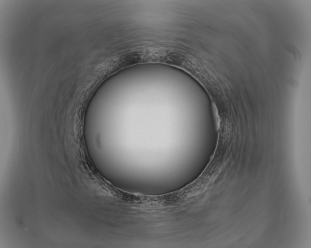 X0000113011153200909031308