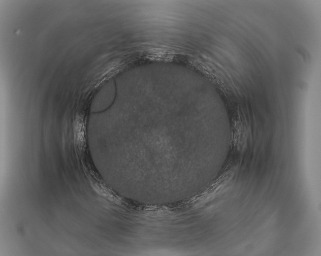 X0000113011154200909031308