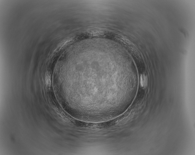 X0000113011155200909031308