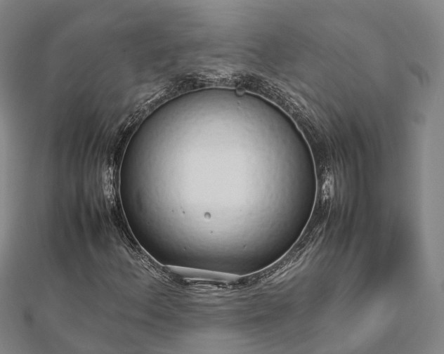 X0000113011156200909031308