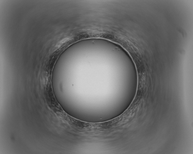 X0000113011157200909031308