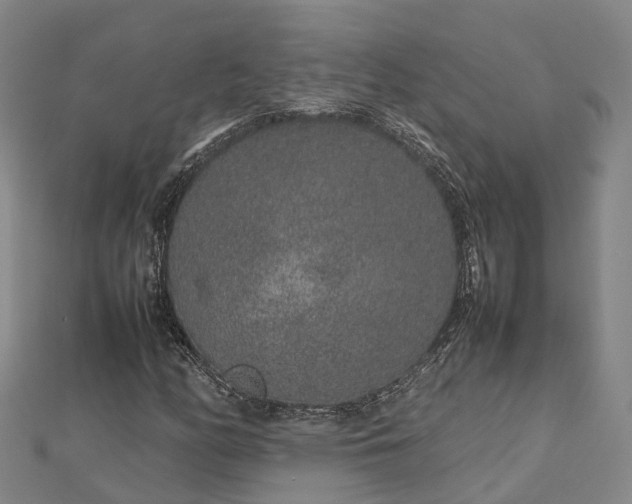 X0000113011158200909031308