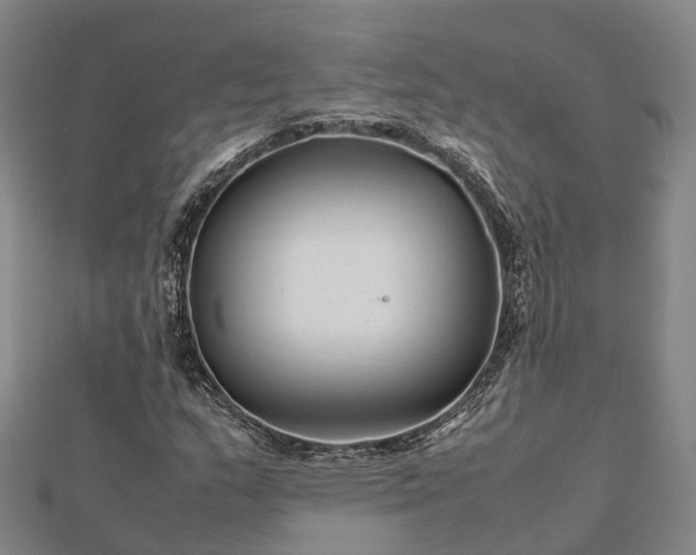 X0000113011159200909031308