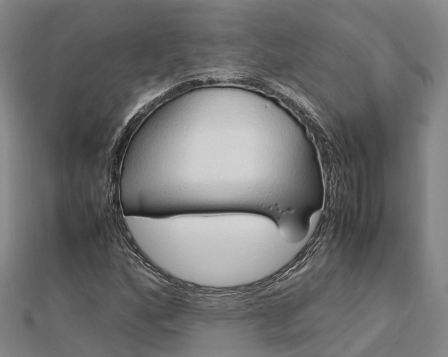 X0000113011160200909031308