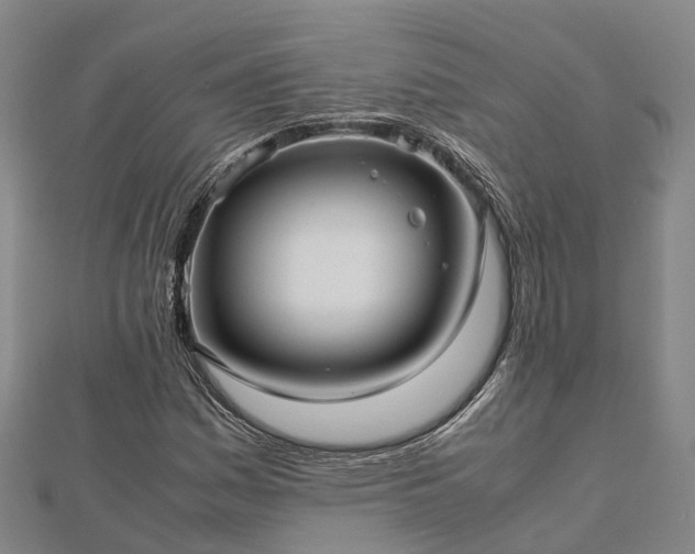 X0000113011161200909031308