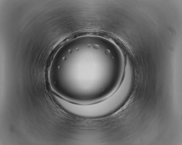 X0000113011162200909031308