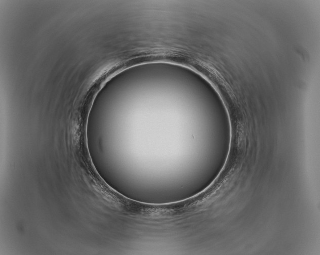 X0000113011163200909031308