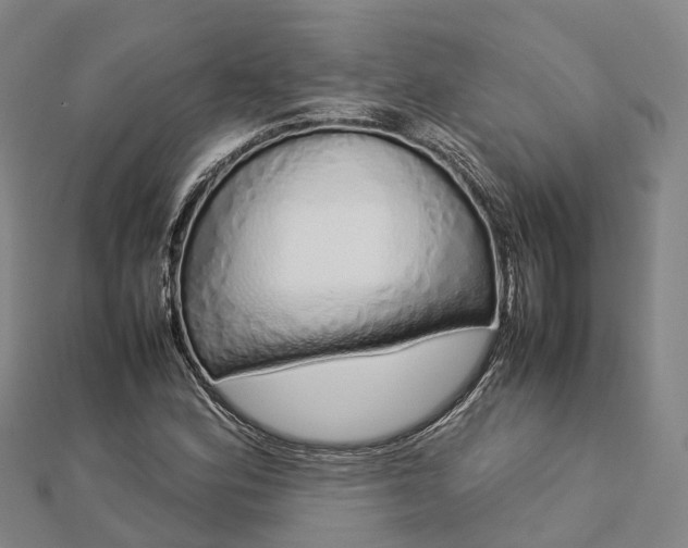 X0000113011164200909031308