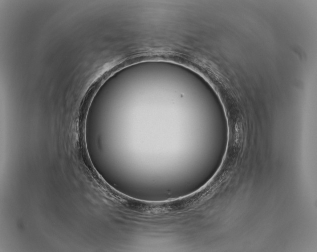 X0000113011165200909031308