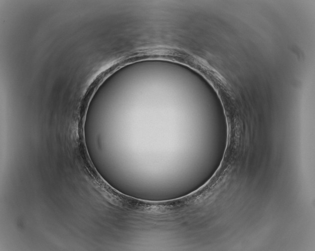 X0000113011166200909031308