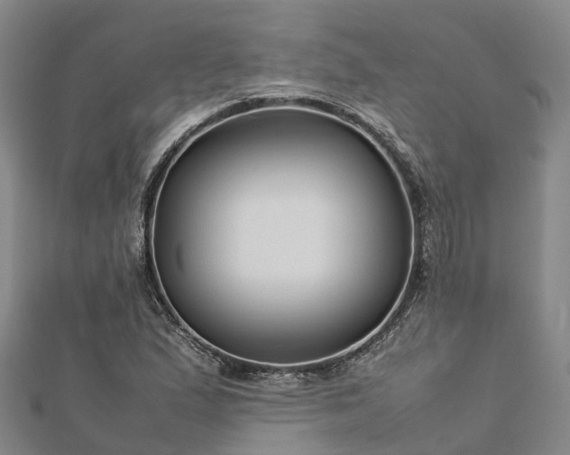 X0000113011167200909031308