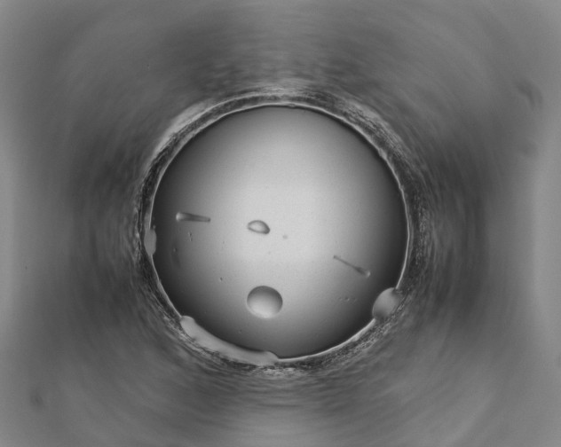 X0000113011168200909031308